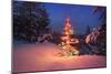 Christmas Tree in Snow with Lights-null-Mounted Photographic Print