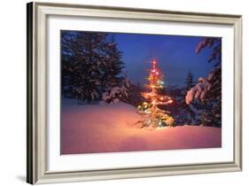 Christmas Tree in Snow with Lights-null-Framed Photographic Print