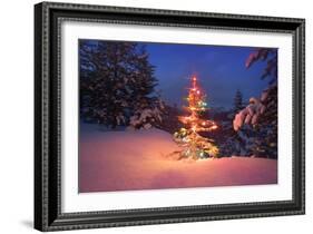 Christmas Tree in Snow with Lights-null-Framed Photographic Print