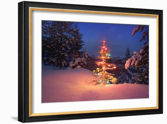 Christmas Tree in Snow with Lights-null-Framed Photographic Print