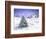 Christmas Tree in Snow-MAKIKO-Framed Giclee Print