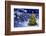 Christmas Tree in Snowy Night-Smileus-Framed Photographic Print