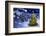 Christmas Tree in Snowy Night-Smileus-Framed Photographic Print