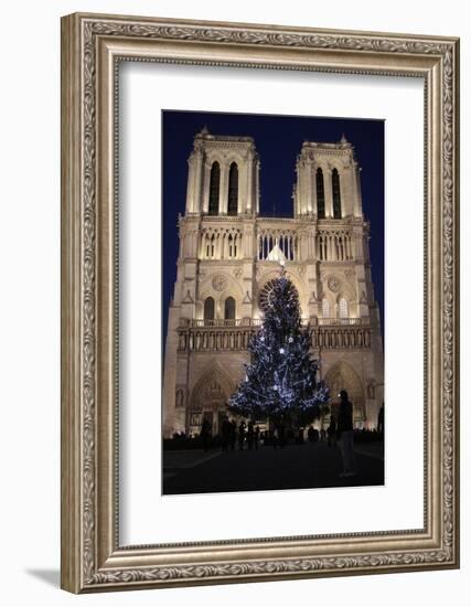 Christmas Tree, Notre-Dame De Paris Cathedral, Paris, France, Europe-Godong-Framed Photographic Print