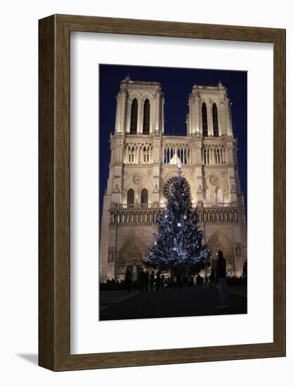 Christmas Tree, Notre-Dame De Paris Cathedral, Paris, France, Europe-Godong-Framed Photographic Print