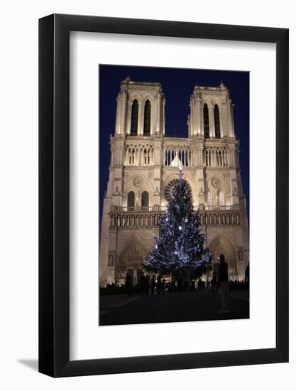 Christmas Tree, Notre-Dame De Paris Cathedral, Paris, France, Europe-Godong-Framed Photographic Print