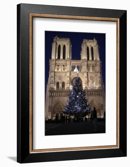 Christmas Tree, Notre-Dame De Paris Cathedral, Paris, France, Europe-Godong-Framed Photographic Print