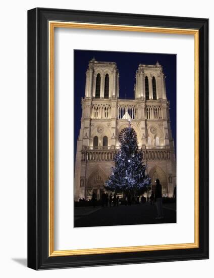 Christmas Tree, Notre-Dame De Paris Cathedral, Paris, France, Europe-Godong-Framed Photographic Print