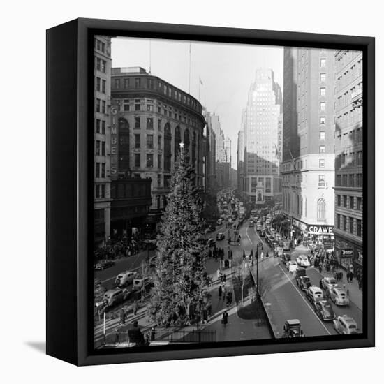 Christmas Tree on 52nd Street Next to Gimbels Department Store, New York, NY, 1940S-Nina Leen-Framed Premier Image Canvas