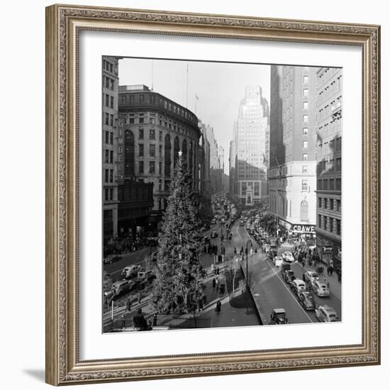 Christmas Tree on 52nd Street Next to Gimbels Department Store, New York, NY, 1940S-Nina Leen-Framed Photographic Print