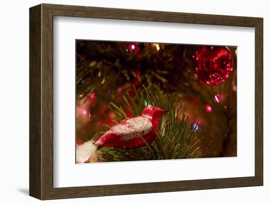 Christmas tree ornaments. Vintage glass bird.-Savanah Stewart-Framed Photographic Print