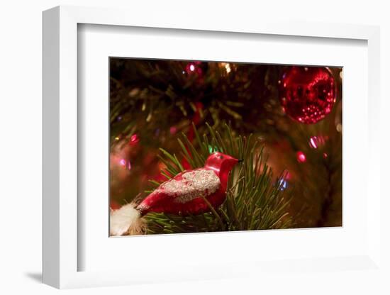 Christmas tree ornaments. Vintage glass bird.-Savanah Stewart-Framed Photographic Print