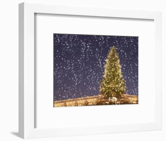 Christmas Tree under Snowfall-null-Framed Photographic Print