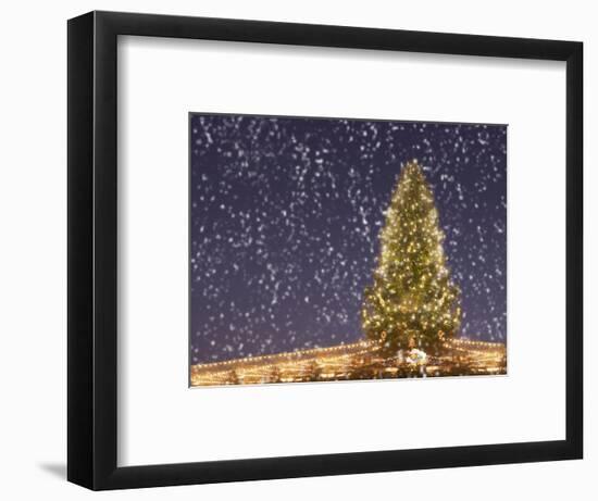 Christmas Tree under Snowfall-null-Framed Photographic Print
