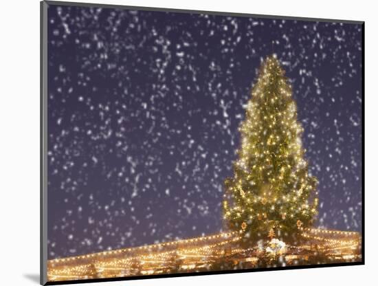Christmas Tree under Snowfall-null-Mounted Photographic Print