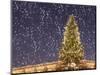 Christmas Tree under Snowfall-null-Mounted Photographic Print