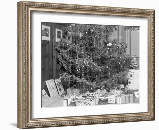 Christmas Tree with Presents, Ca. 1950.-Kirn Vintage Stock-Framed Photographic Print