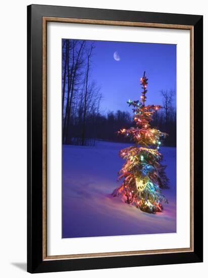 Christmas Tree-null-Framed Premium Photographic Print