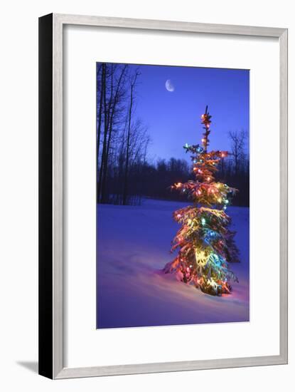 Christmas Tree-null-Framed Photographic Print