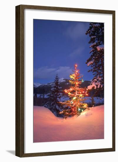 Christmas Tree-null-Framed Photographic Print