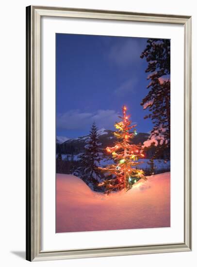 Christmas Tree-null-Framed Photographic Print