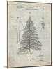 Christmas Tree-Cole Borders-Mounted Premium Giclee Print