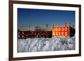 Christmas Trees For Sale Sag Harbor NY-null-Framed Photo
