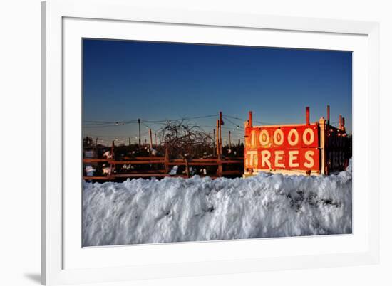 Christmas Trees For Sale Sag Harbor NY-null-Framed Photo