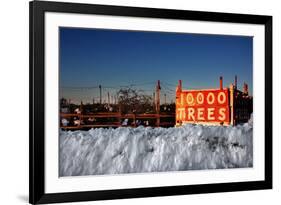 Christmas Trees For Sale Sag Harbor NY-null-Framed Photo