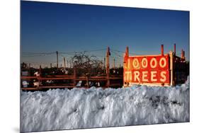 Christmas Trees For Sale Sag Harbor NY-null-Mounted Photo
