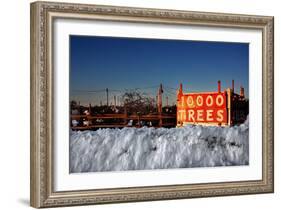 Christmas Trees For Sale Sag Harbor NY-null-Framed Photo