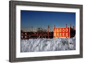 Christmas Trees For Sale Sag Harbor NY-null-Framed Photo