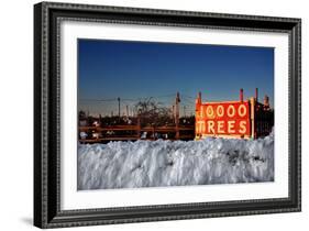 Christmas Trees For Sale Sag Harbor NY-null-Framed Photo