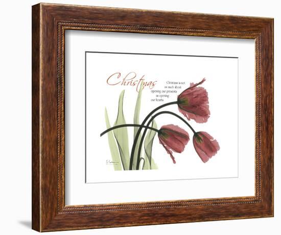 Christmas Tulips-Albert Koetsier-Framed Premium Giclee Print