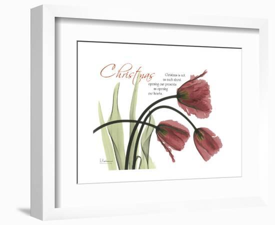 Christmas Tulips-Albert Koetsier-Framed Premium Giclee Print