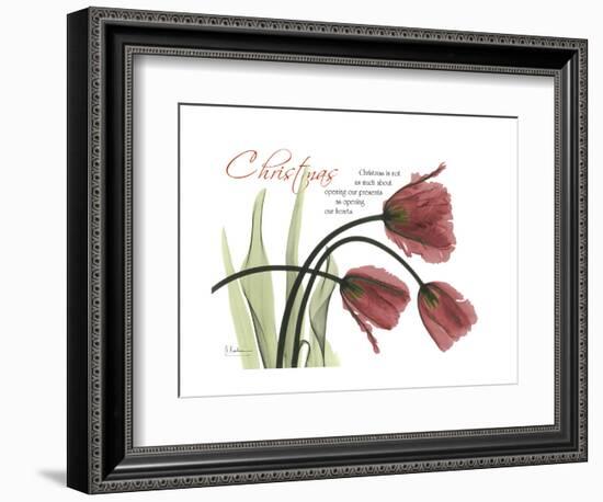 Christmas Tulips-Albert Koetsier-Framed Premium Giclee Print