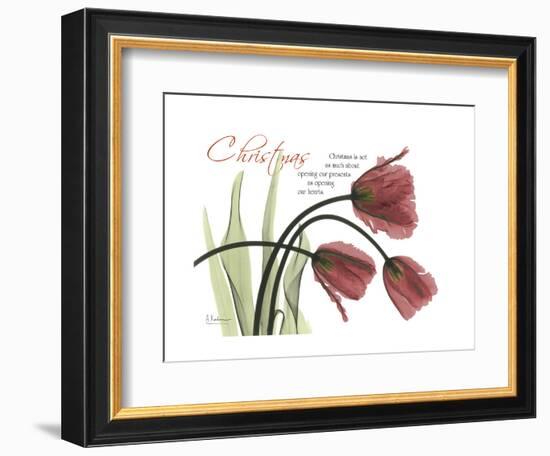 Christmas Tulips-Albert Koetsier-Framed Premium Giclee Print