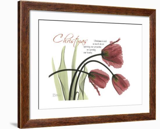 Christmas Tulips-Albert Koetsier-Framed Premium Giclee Print