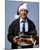 Christmas Vacation-null-Mounted Photo