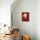 Christmassy Emmental-Marc O^ Finley-Mounted Photographic Print displayed on a wall