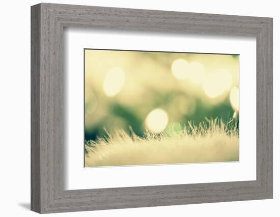 Christmassy or Wintry Background-Petra Daisenberger-Framed Photographic Print