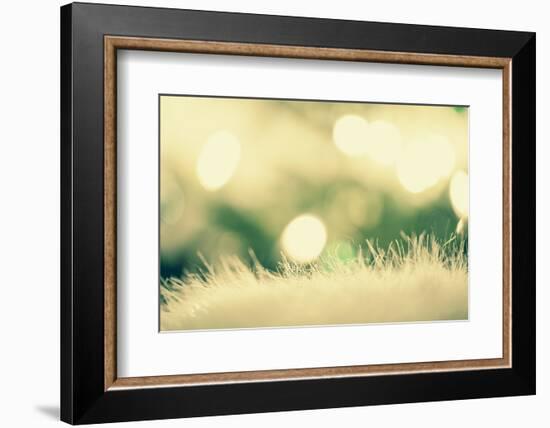 Christmassy or Wintry Background-Petra Daisenberger-Framed Photographic Print