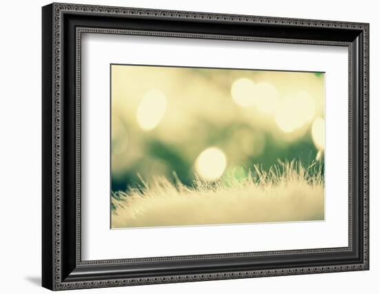 Christmassy or Wintry Background-Petra Daisenberger-Framed Photographic Print