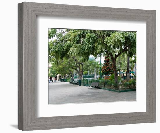 Christmastime at The Plazuela Machado in the Historic Center, Mazatlan, Mexico-Charles Sleicher-Framed Photographic Print