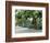 Christmastime at The Plazuela Machado in the Historic Center, Mazatlan, Mexico-Charles Sleicher-Framed Photographic Print