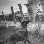 Friend's Kiss ;-)-Christophe-Framed Photographic Print