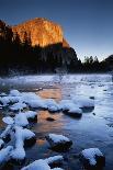 Sun Rays Streaming Through Snow Covered Trees, Yosemite National Park, California, USA-Christopher Bettencourt-Framed Photographic Print