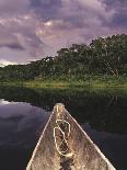 Napo Wildlife Center, Yasuni National Park, Amazon Basin, Ecuador-Christopher Bettencourt-Photographic Print