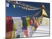 Premium Photographic Print