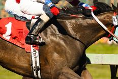 Two Horses and Jockeys Come Aross Finish Line Neck and Neck Number One-Christopher Boswell-Photographic Print